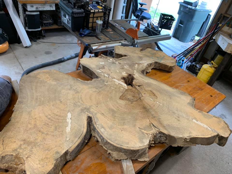 Photo of the unprocessed Mysore fig wood slab in ArkWorks’ workshop, destined to become a unique custom-built coffee table.